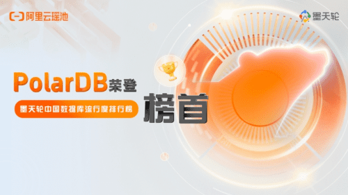 2024年中国数据库流行度排行榜出炉，阿里云PolarDB夺冠