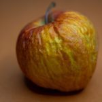 Apple 已放弃的 Copland 系统在浏览器模拟器中启动，操作系统历史技术资讯配图