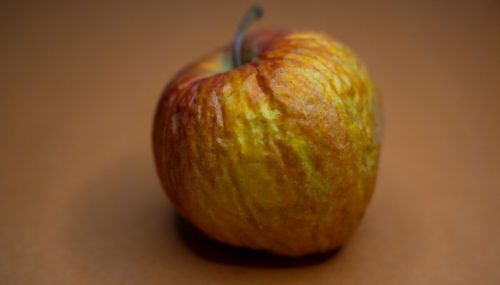 Apple 已放弃的 Copland 系统在浏览器模拟器中启动，操作系统历史技术资讯配图